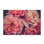 MDF 3PCE COLLAGE Coral Peonies