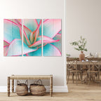 MDF 3PCE COLLAGE Tinted Succulent