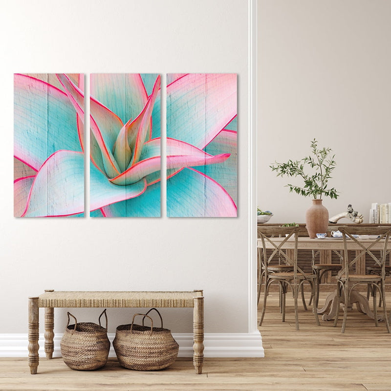 MDF 3PCE COLLAGE Tinted Succulent