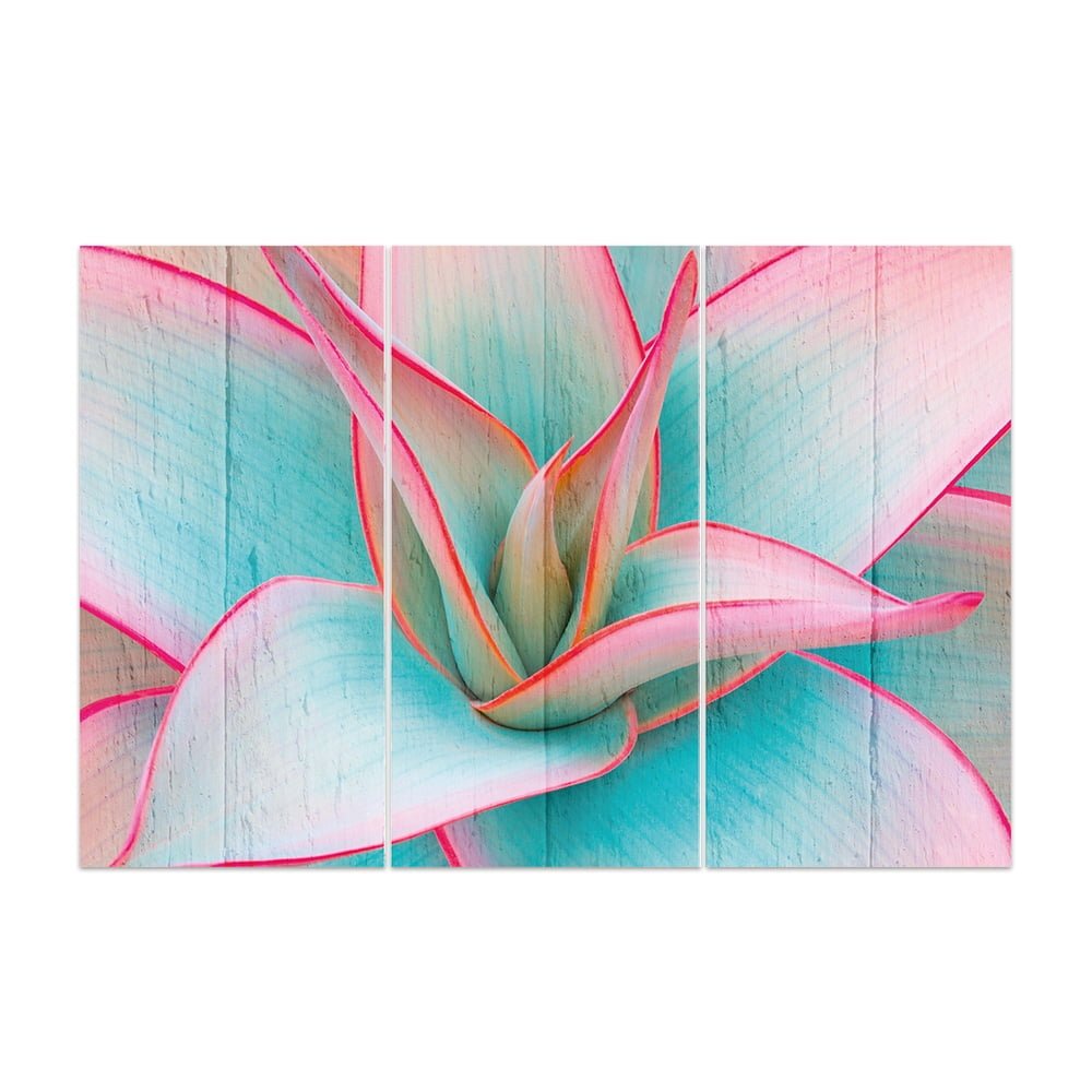 MDF 3PCE COLLAGE Tinted Succulent