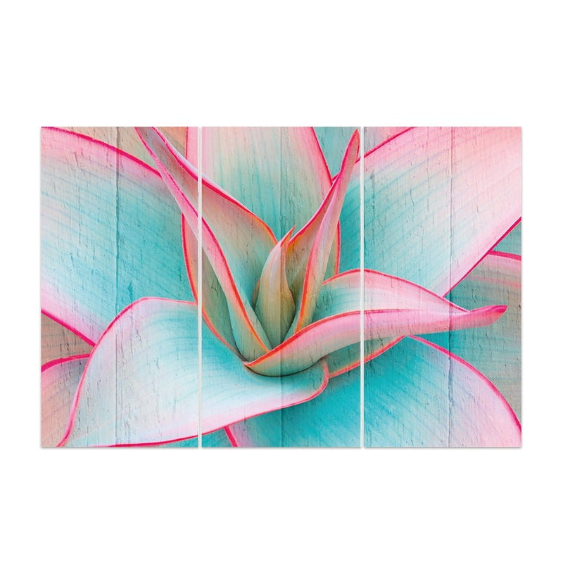 MDF 3PCE COLLAGE Tinted Succulent