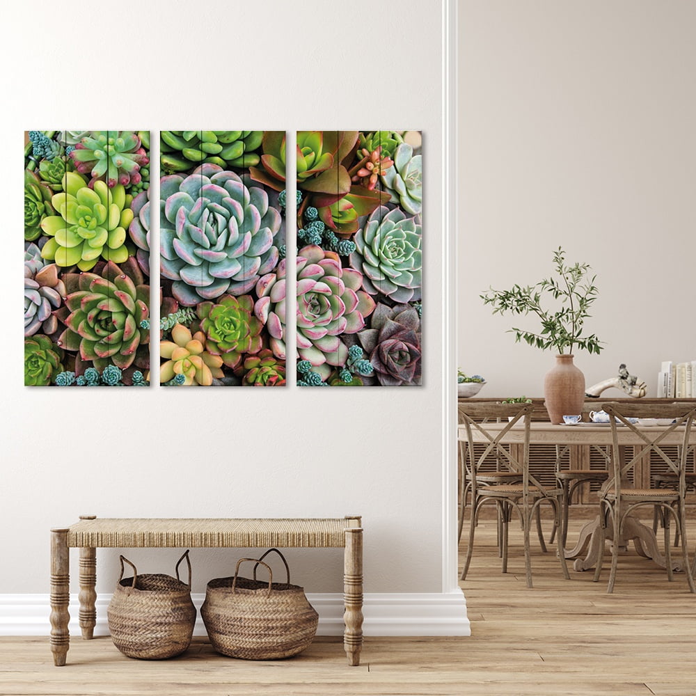 MDF 3PCE COLLAGE Succulent Bouquet