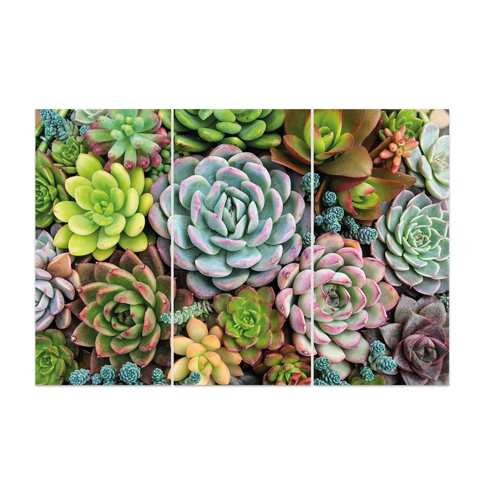 MDF 3PCE COLLAGE Succulent Bouquet