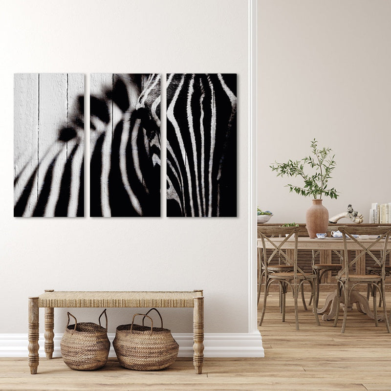 MDF 3PCE COLLAGE Zebra