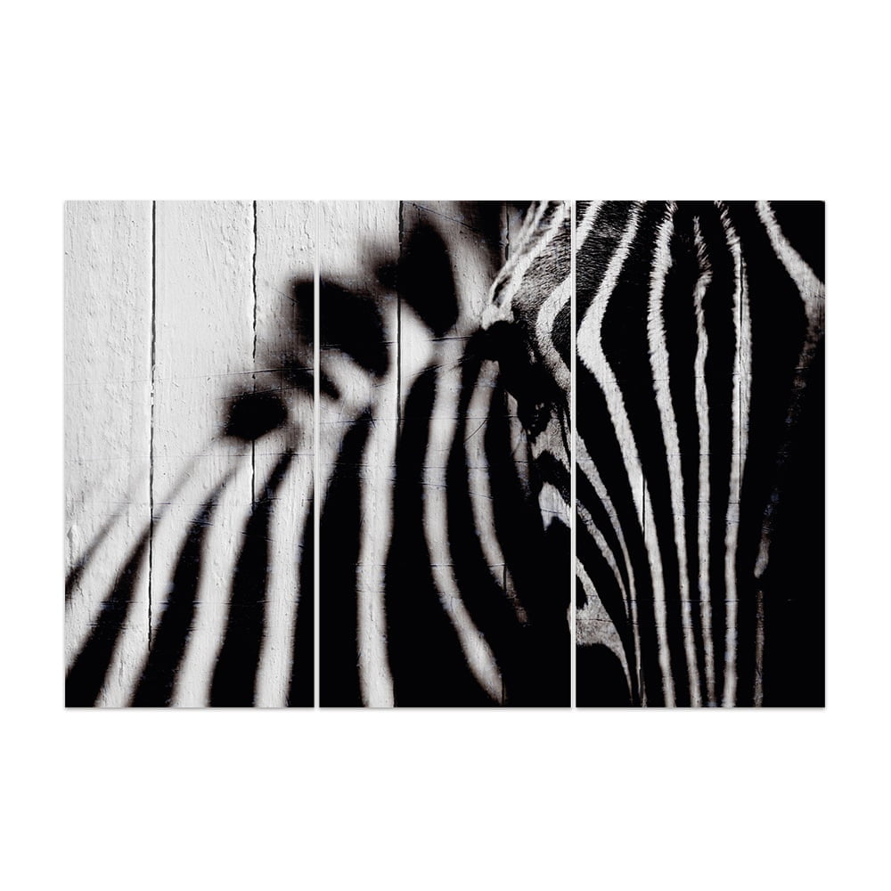 MDF 3PCE COLLAGE Zebra