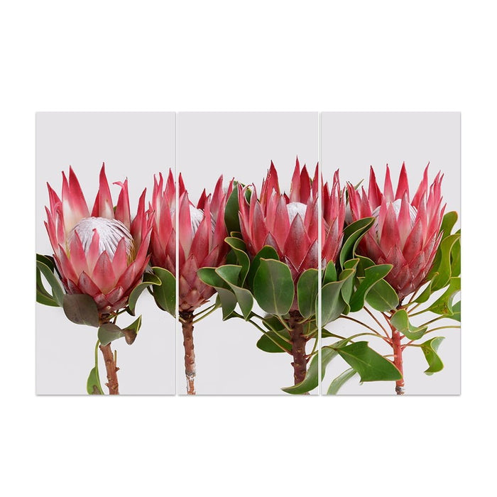 BUNCH  PROTEA