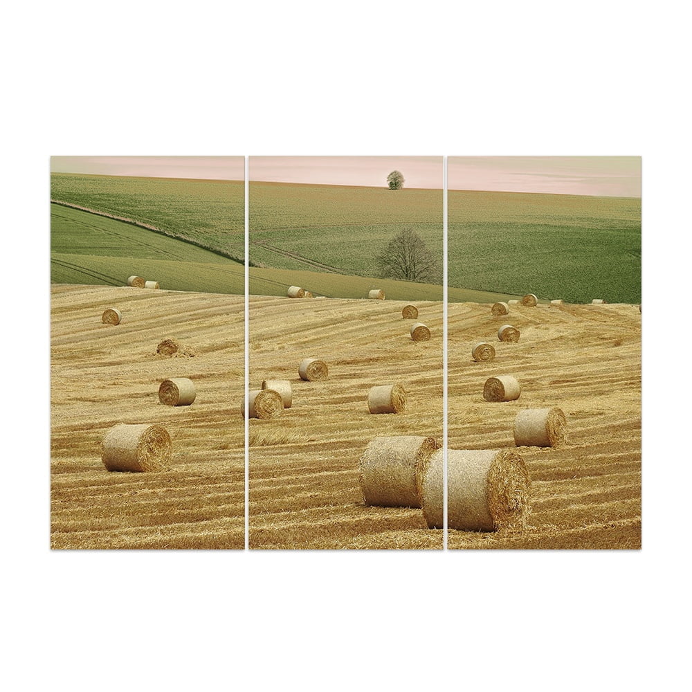 Hay Bale field 2