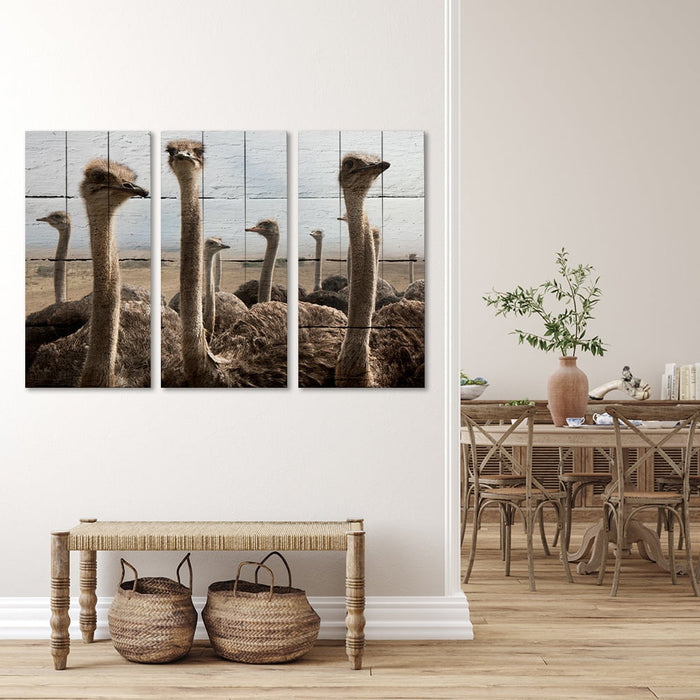 OSTRICH FINE ART 2