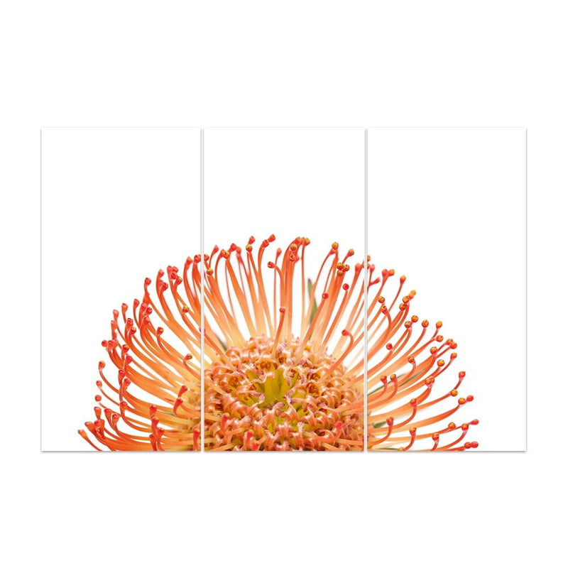 PIN CUSHION