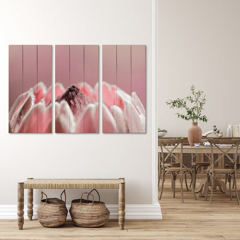 PROTEA PINK 2