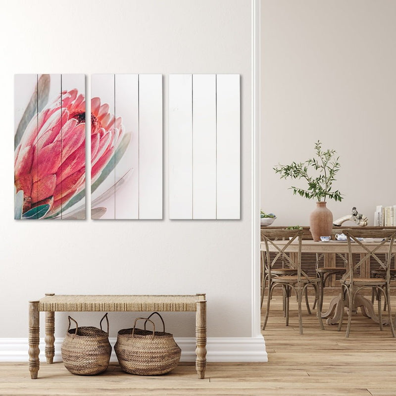 PROTEA PINK 3