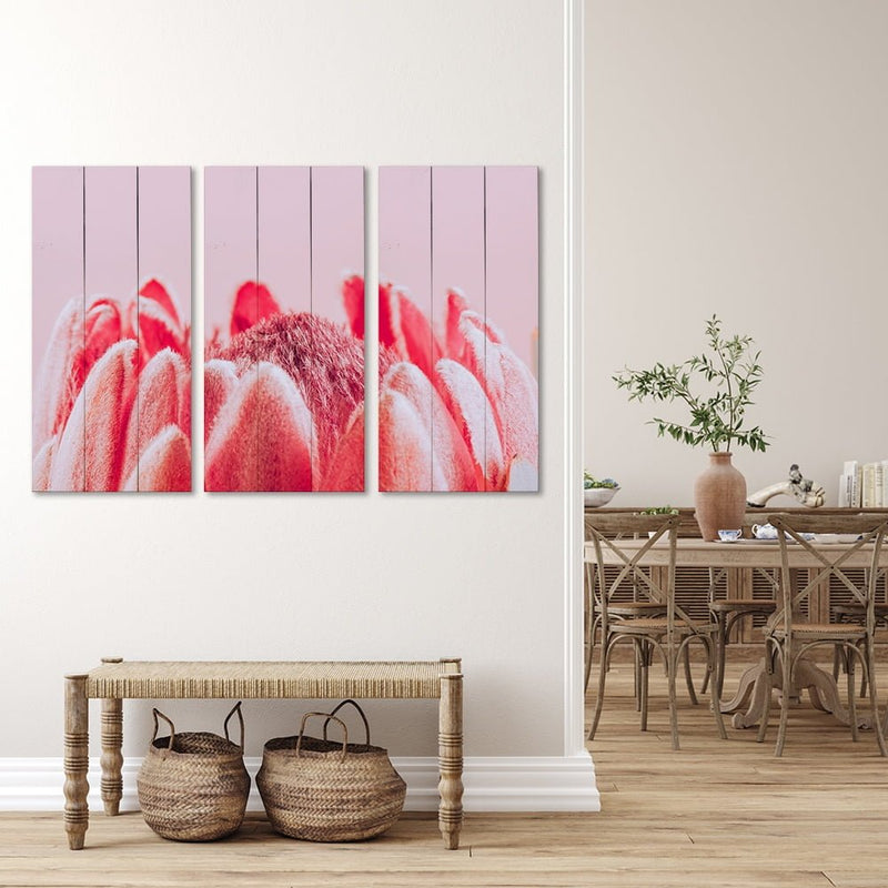 PROTEA PINK 4