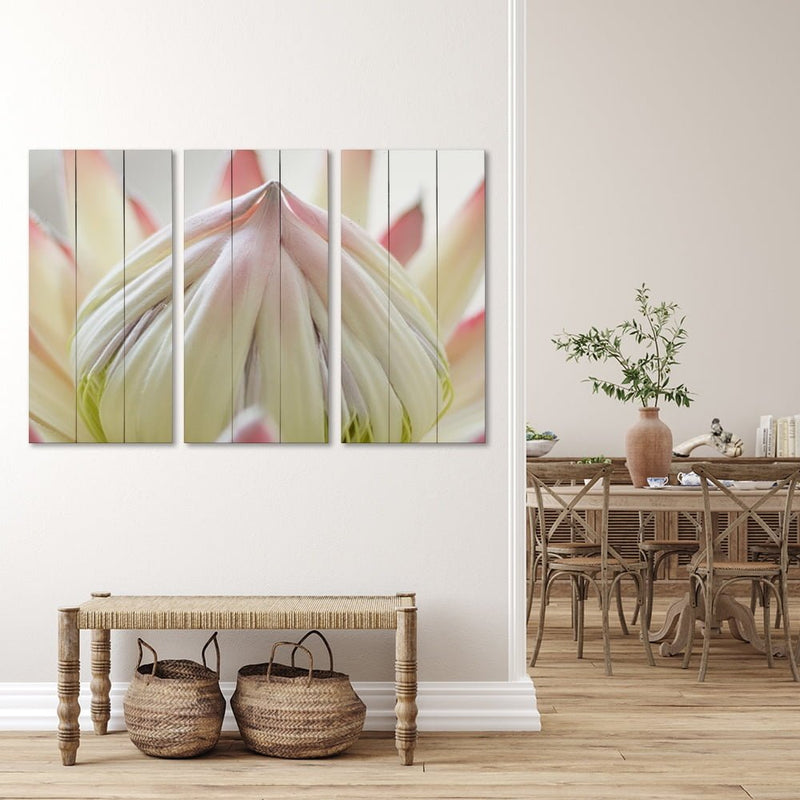 PROTEA PINK GREY 2