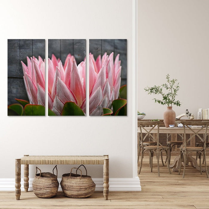 PROTEA PINK GREY