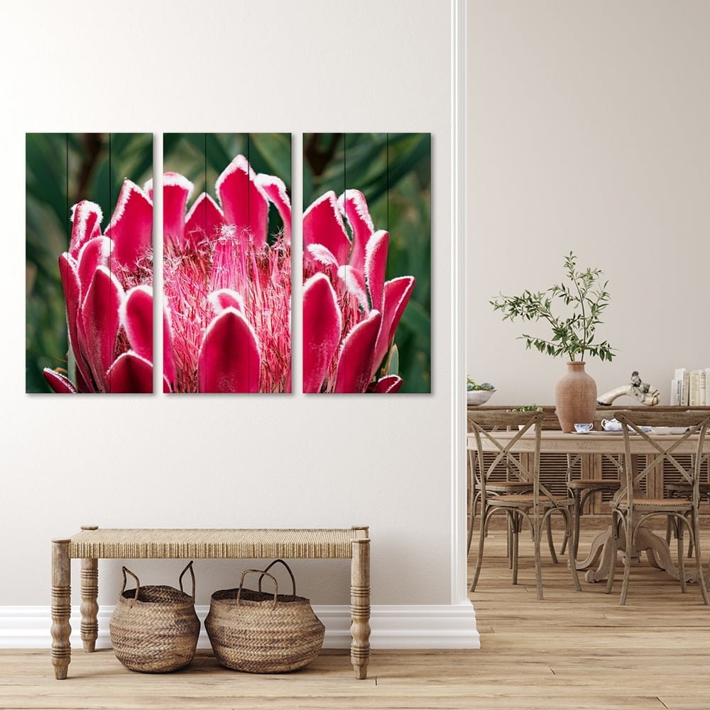 PROTEA PINK