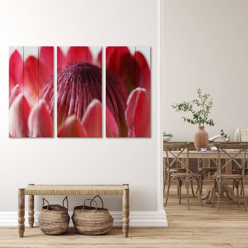 PROTEA RED 2