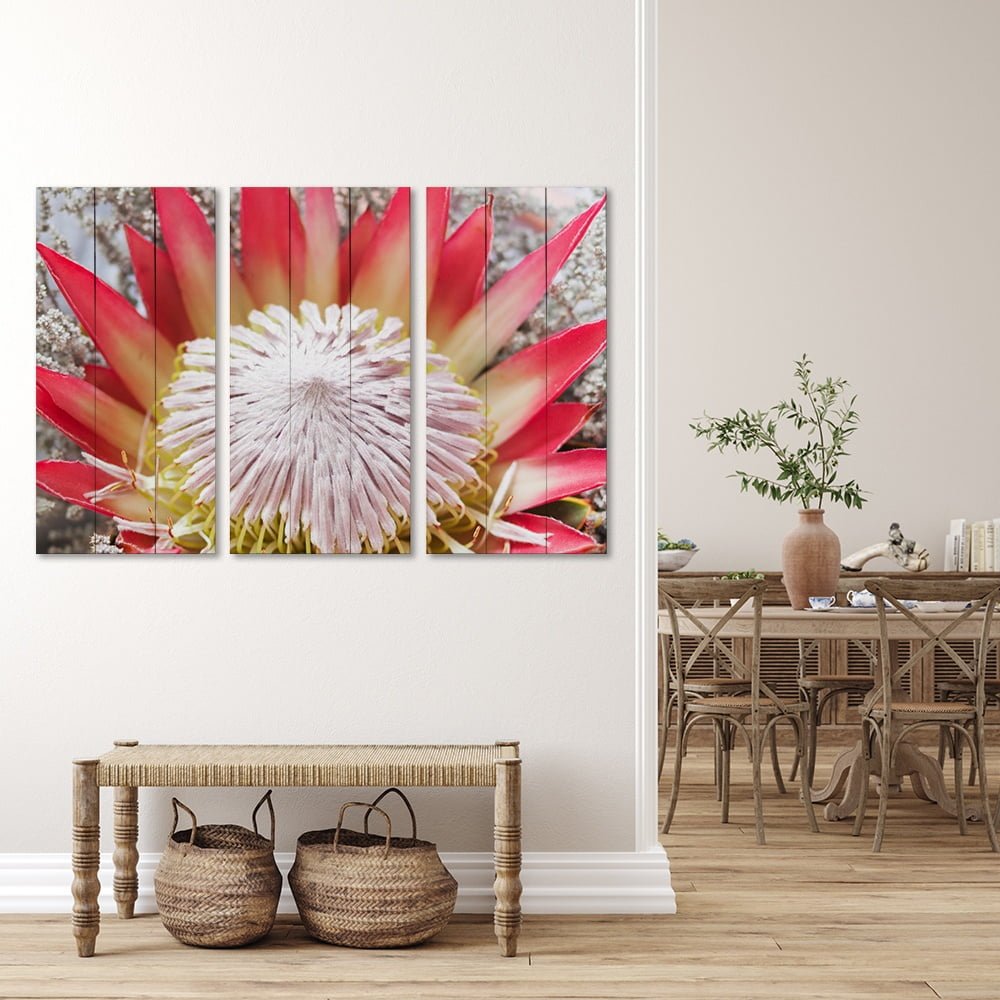 PROTEA RED — Cape Rug, Home & Art