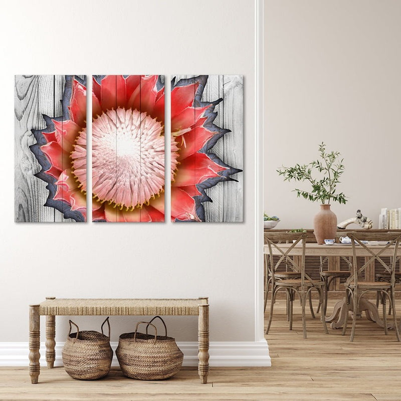 Protea Red Wood BG
