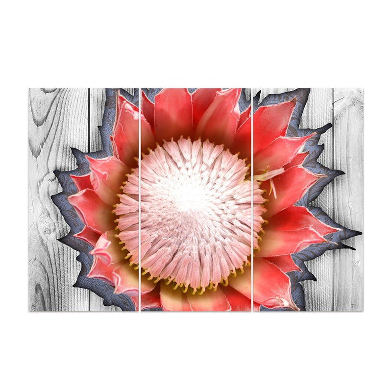 Protea Red Wood BG