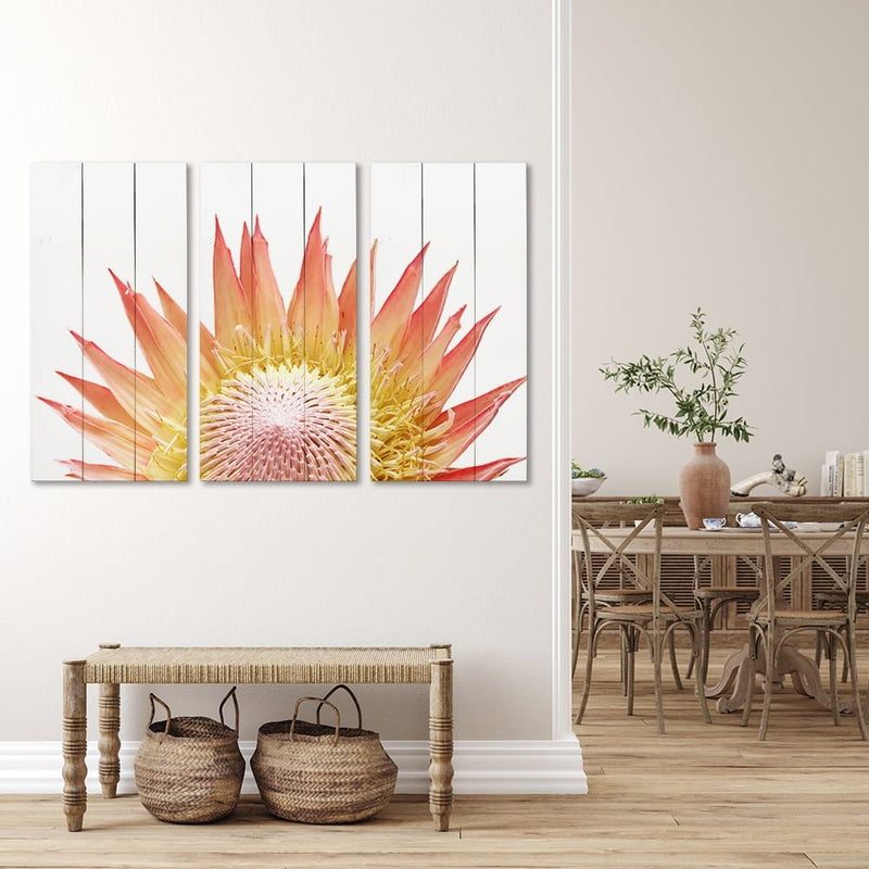 PROTEA WHITE