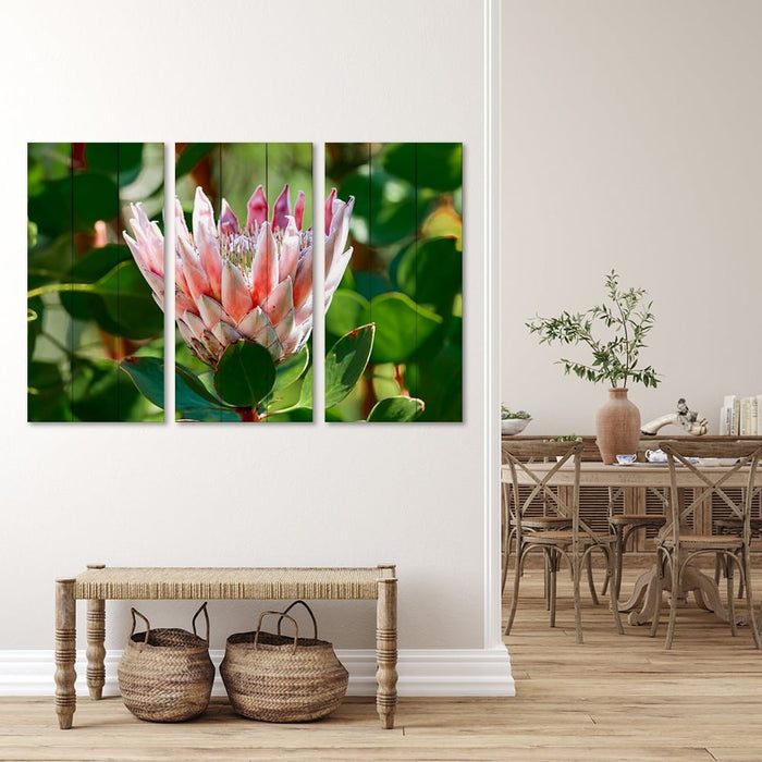 SINGLE  PROTEA PINK