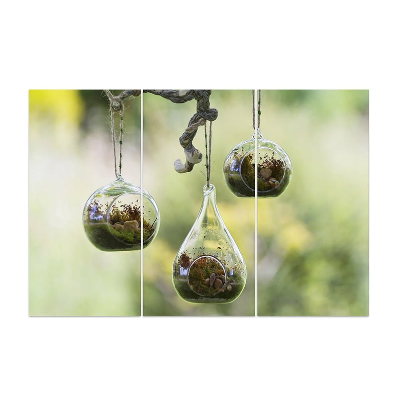 succulent terrarium