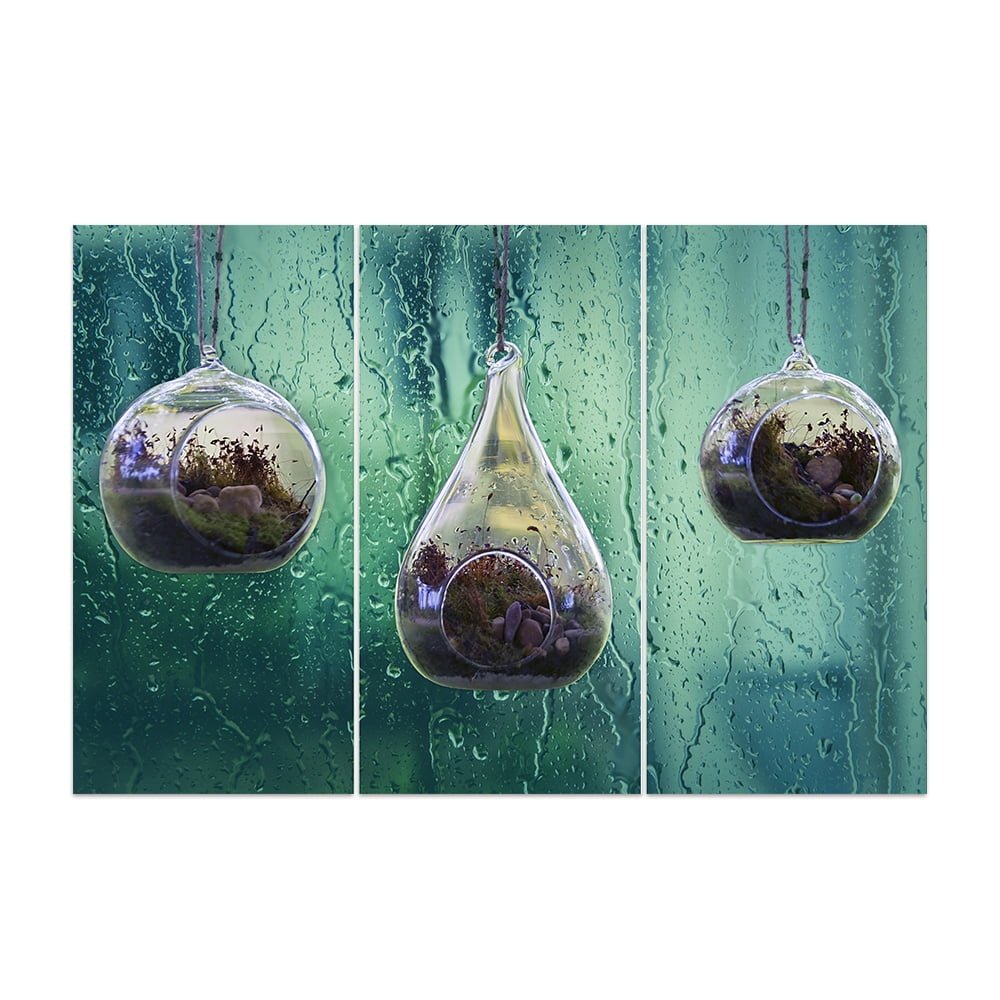 succulent terrarium rain