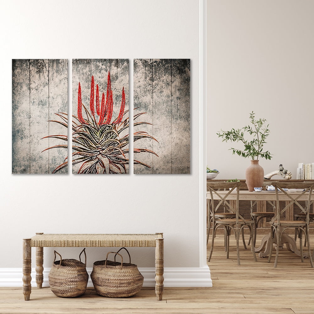 MDF 3PCE COLLAGE Aloe Ferox