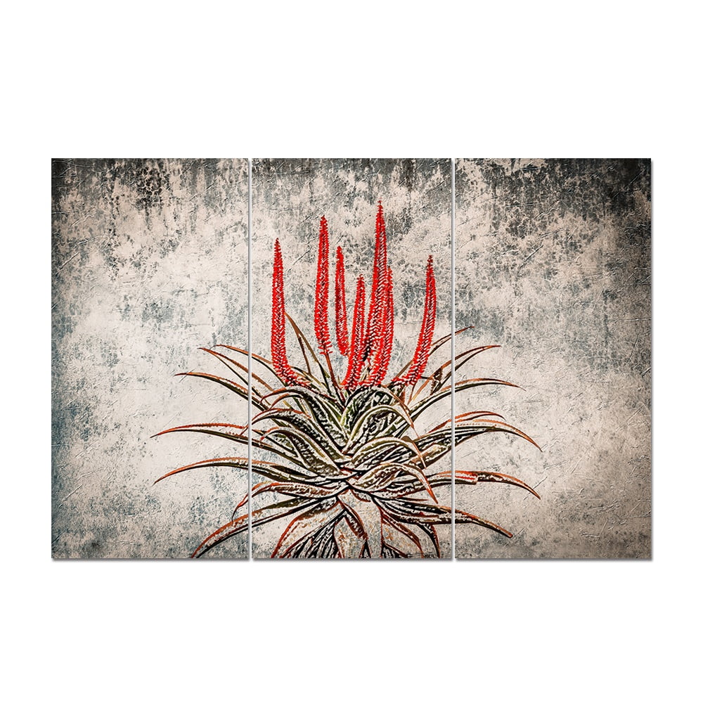 MDF 3PCE COLLAGE Aloe Ferox