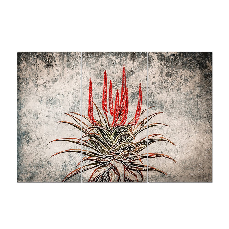 MDF 3PCE COLLAGE Aloe Ferox