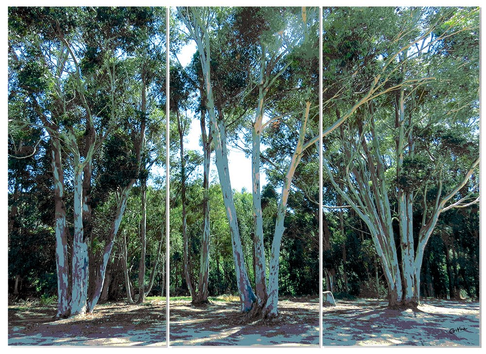 MDF 3pce Collage Eucalyptus Trees