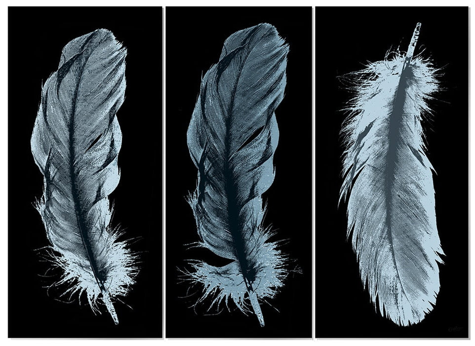 MDF 3pce Collage Feathers Blue & Black