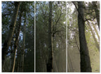 MDF 3pce Collage The Forest