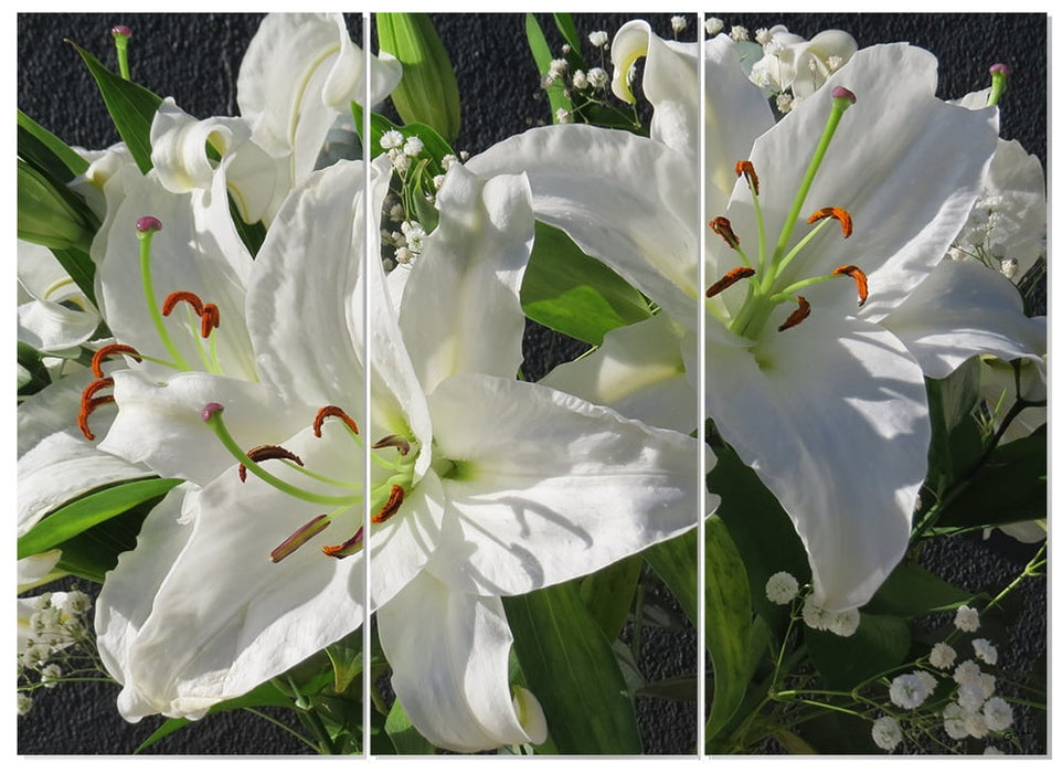 MDF 3pce Collage Lilies Close-up 2