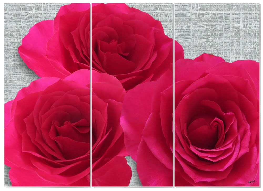 MDF 3pce Collage Pink Roses