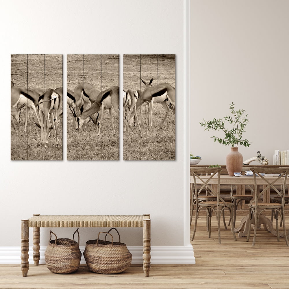 MDF 3pce Collage Springbok Herd