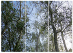MDF 3pce Collage Tree Tops