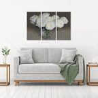 MDF 3pce Collage Vase with White Roses