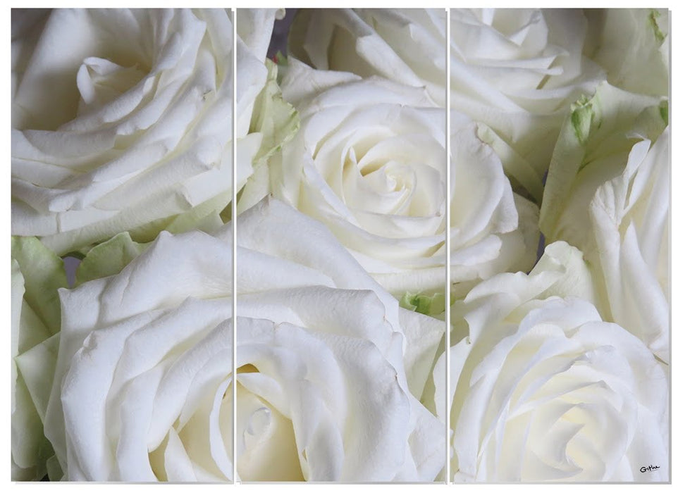 MDF 3pce Collage White Roses