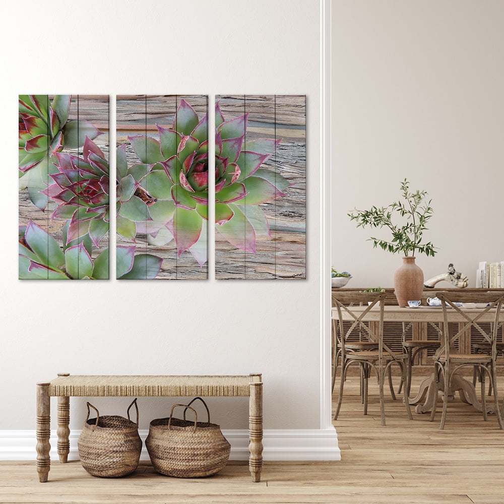 MDF 3pce Collage Succulents on  Bark