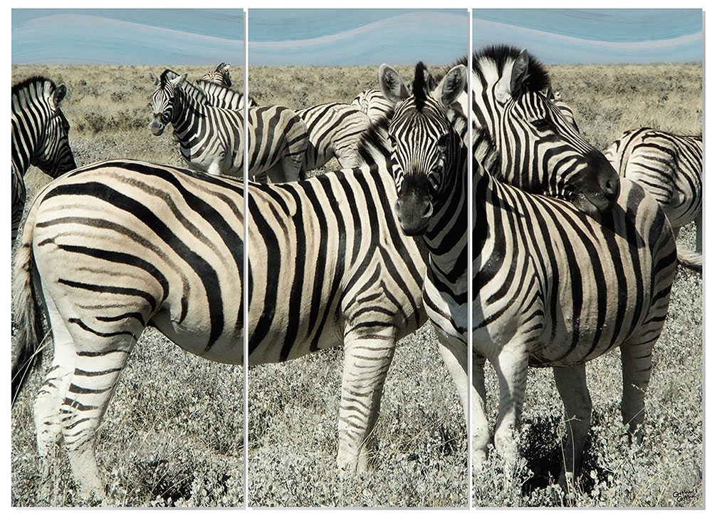 MDF 3pce Collage Friendly Zebra