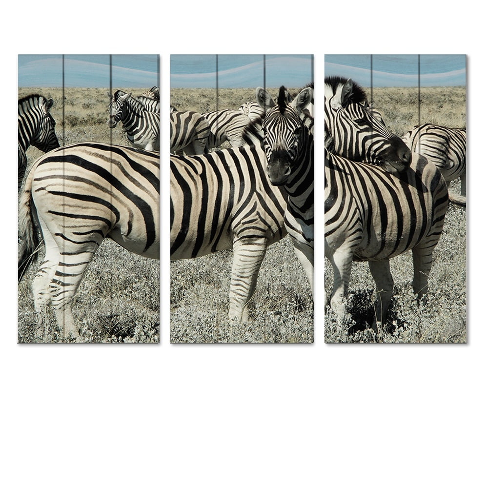 MDF 3pce Collage Friendly Zebra