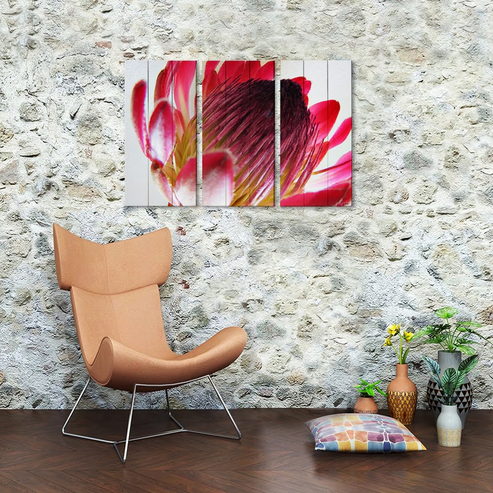 MDF 3pce Collage Close-up Protea 1