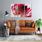 MDF 3pce Collage Close-up Protea 1