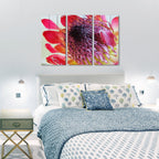 MDF 3pce Collage Close-up Protea 2