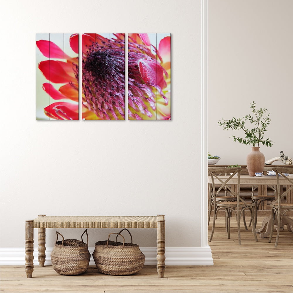 MDF 3pce Collage Close-up Protea 2