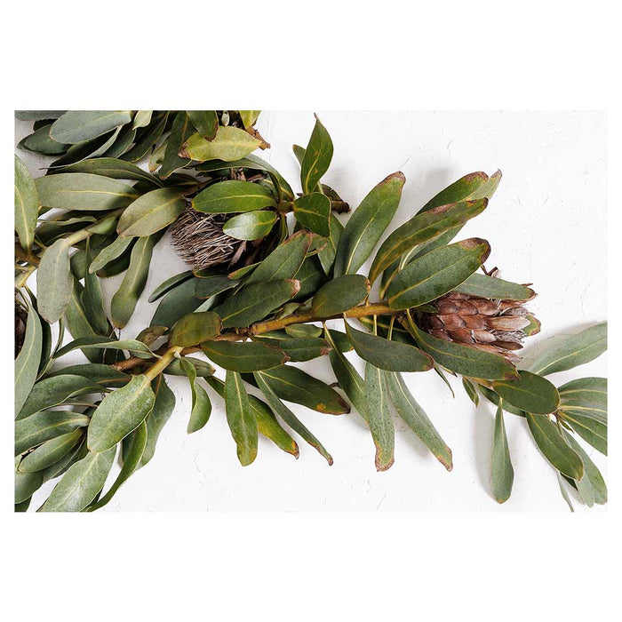 DRIED PROTEA WITH GREEN LEAVES BATHMAT