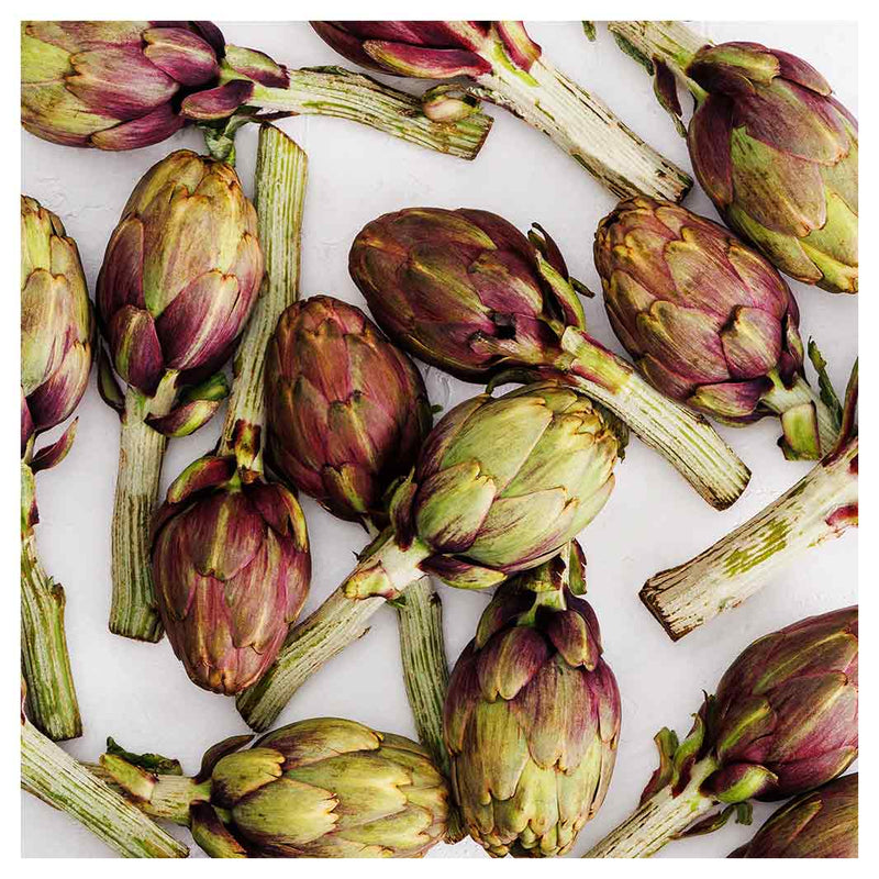 ARTICHOKE DEEP GREEN AND PURPLE ON WHITE NAPKIN