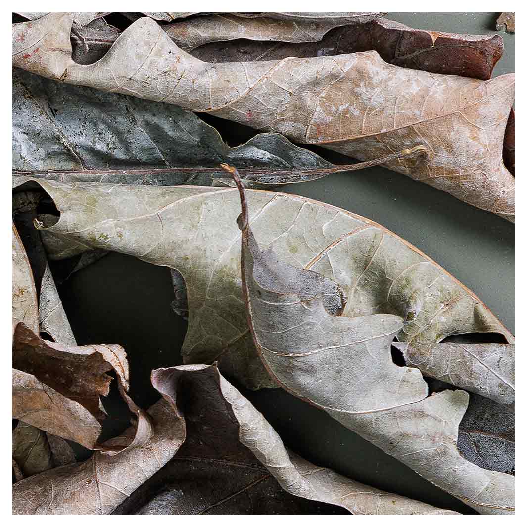 MONOCHROMATIC GREY GREEN LEAVES NAPKIN