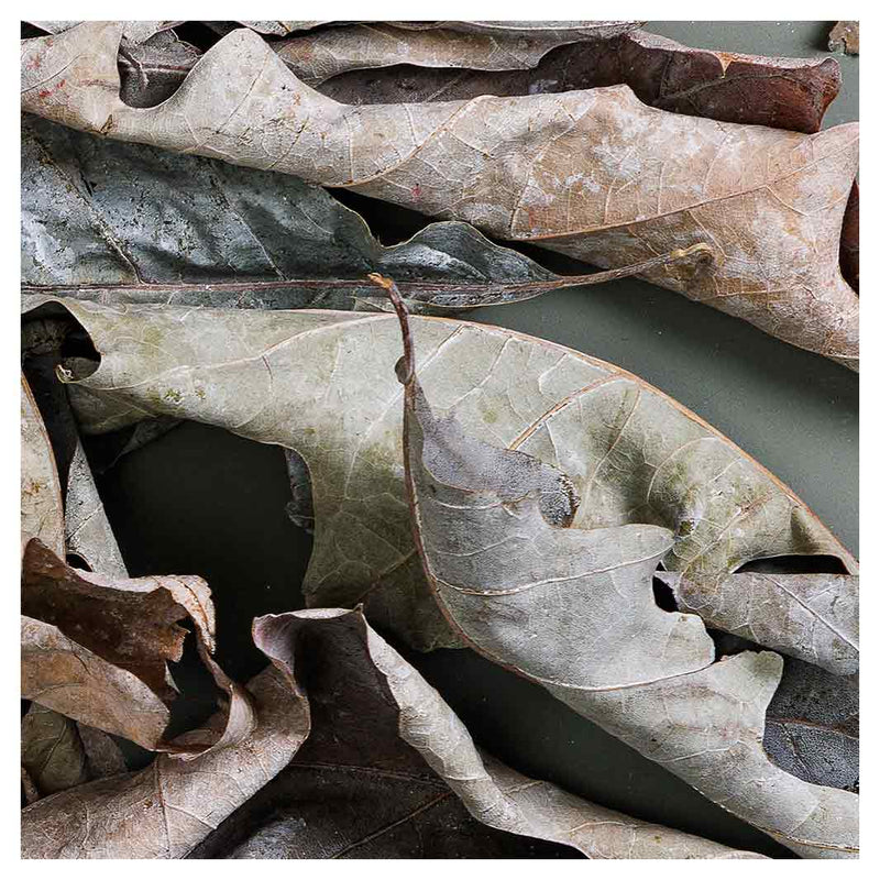 MONOCHROMATIC GREY GREEN LEAVES NAPKIN